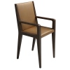 Dining Chair With Arms